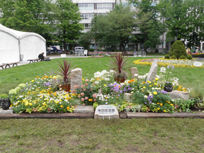 第61回 札幌市大通花壇コンクール 参考花壇